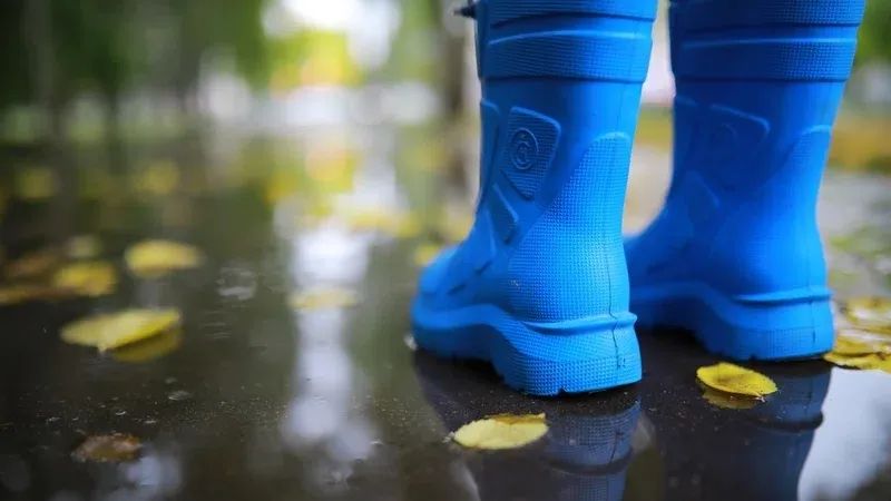 偶然学习发生的机制是什么？对教育发展有什么影响？