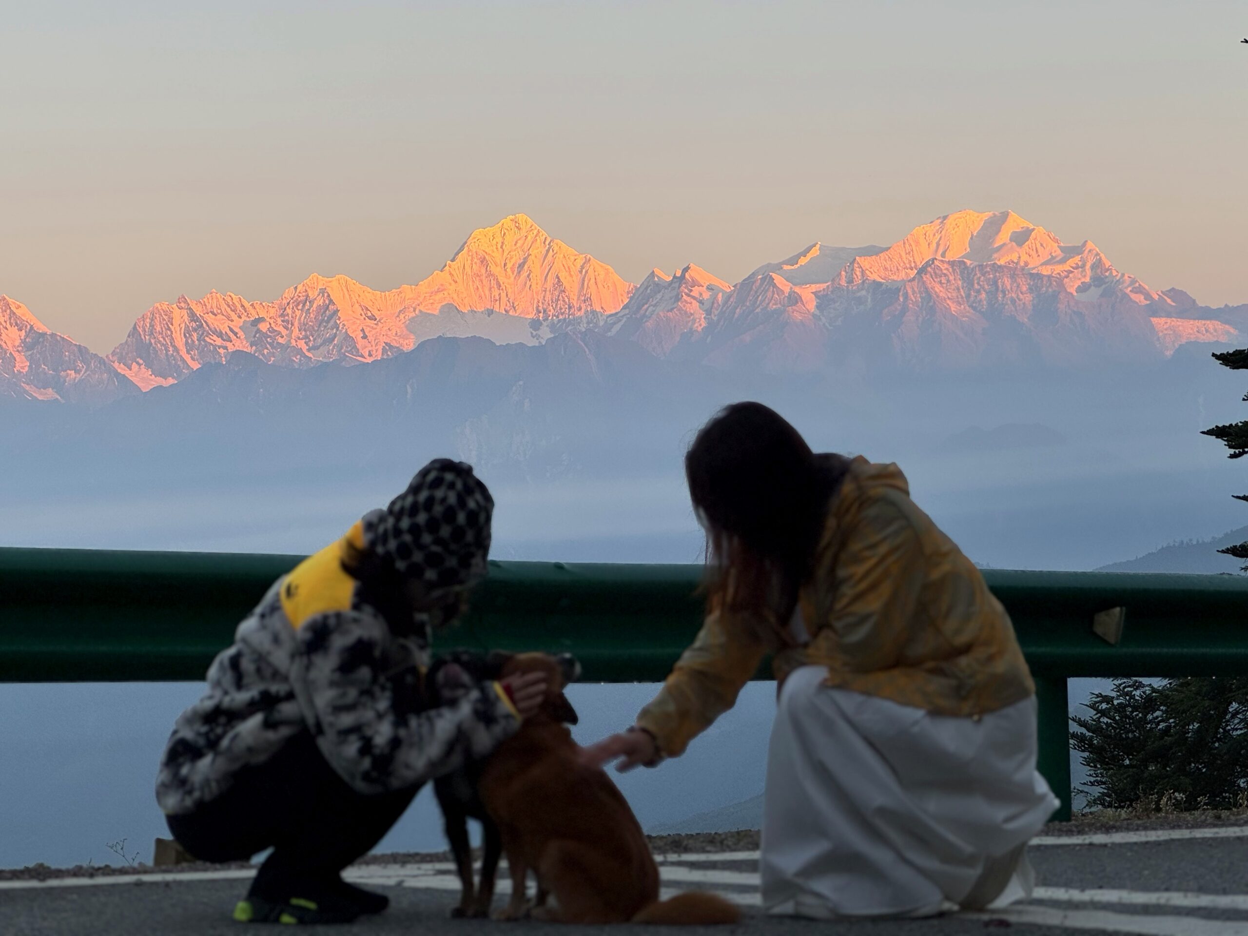 从文字江湖到自然疗愈：一位企业家的心理学实践之路 | 专访UEM应用心理学硕士杨丛源