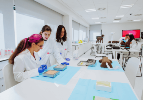 欧洲大学在2026年QS大学排名中巩固前沿地位