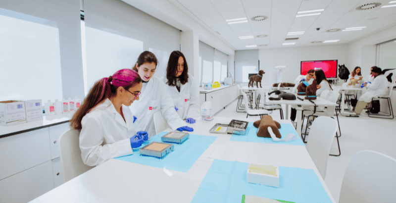 欧洲大学在2026年QS大学排名中巩固前沿地位